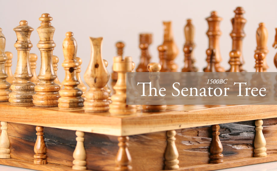 Beauty for Ashes: Fire Destroys 3,500 Year Old U.S. Senator Tree – Legacy Preserved in Historic Chess Set