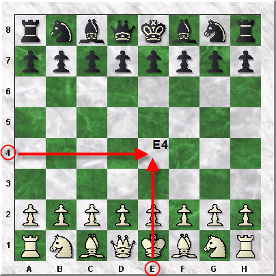  chess move should I make next?